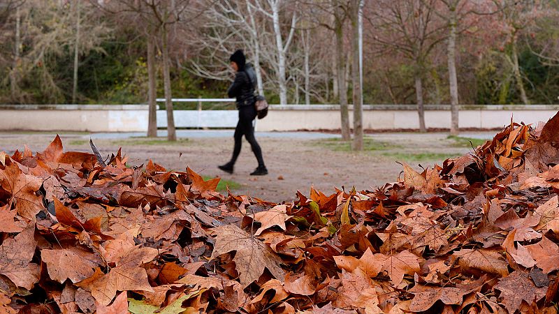 El otoño será "al menos" 0,6ºC más cálido que la media tras un verano de récord en temperaturas y precipitaciones