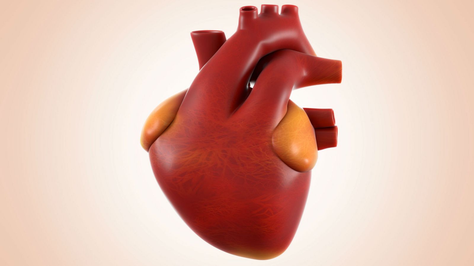 La mañana - Fabrican una arteria aorta con una impresora 3D