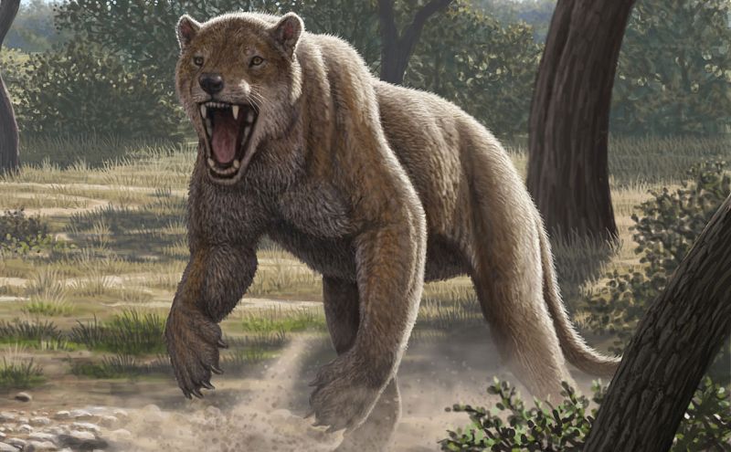 El fósil de la columna vertebral del 'gran depredador español' aporta nuevos datos sobre la especie