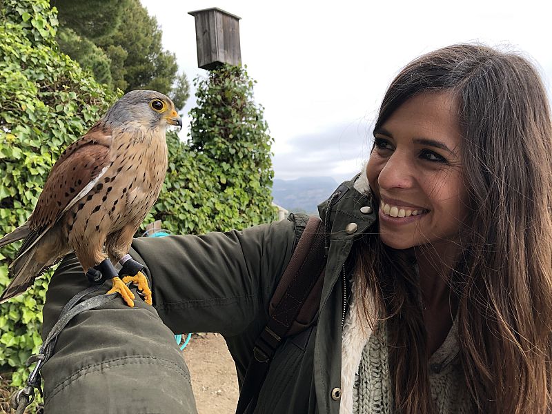 '¡Qué animal!' descubre nuevos "superpoderes" de los animales