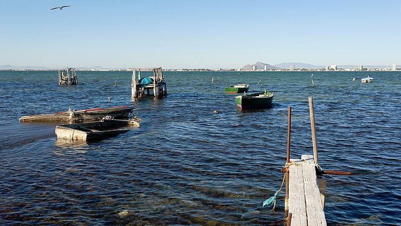 Alertan del deterioro de los fondos del Mar Menor, "similar al de 2016"