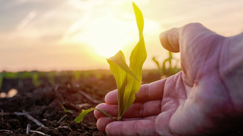 La naturaleza ya no tendrá capacidad para cuidarnos dentro de tan solo 30 años