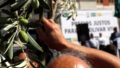 Las mañanas de RNE con Íñigo Alfonso - Vino, lácteos y aceite españoles, afectados por los aranceles de EEUU - Escuchar ahora