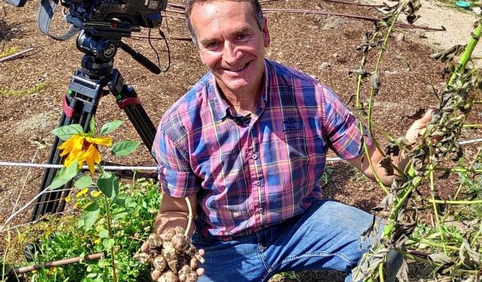 ¿Qué es el tupinambo?