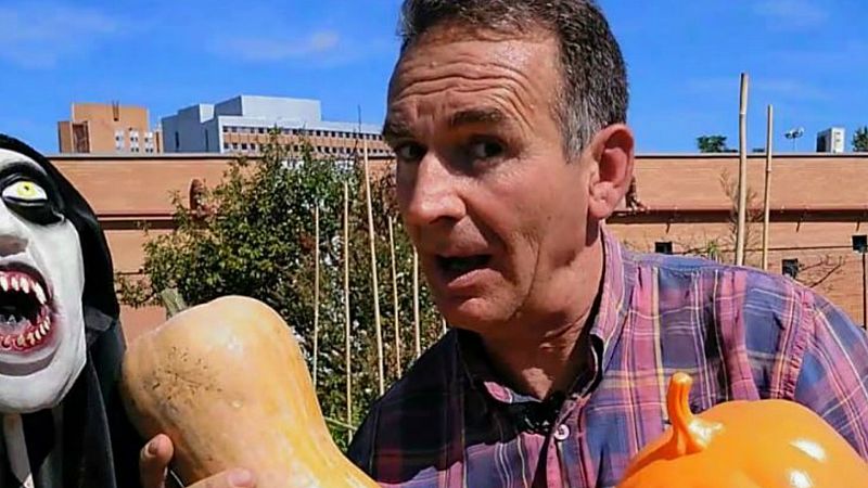 Los mejores trucos para cosechar tus propias calabazas