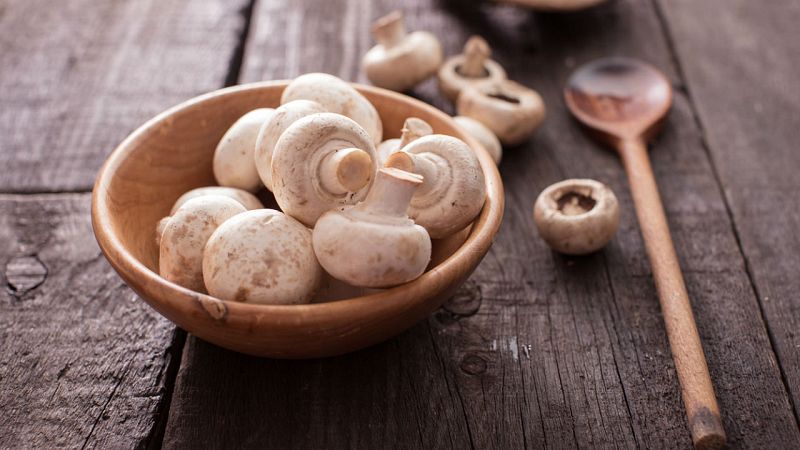 Todo lo que debes saber sobre los champiñones