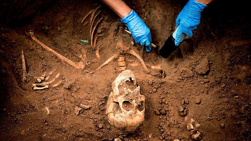 Delgado anuncia un plan estrat�gico para abrir las fosas de las v�ctimas del franquismo en seis a�os