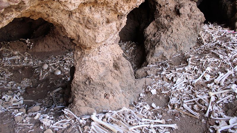 Hallan en Gran Canaria una cueva funeraria prehispánica con alrededor de 80 cuerpos