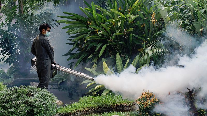 La OMS avisa de que la mitad de la población mundial está en riesgo de padecer el dengue