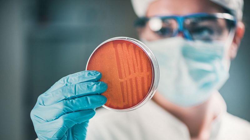 Una bacteria que causa infecciones respiratorias ya provoca el 40% de mortalidad