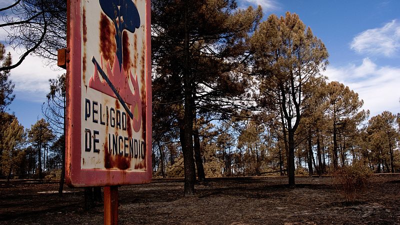 ¿Cómo será España en 2100? Un "polvorín" a punto de estallar por el cambio climático