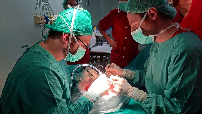 España bate su récord de donación de órganos en un solo día con la gestión de 19 donantes fallecidos y 38 trasplantes