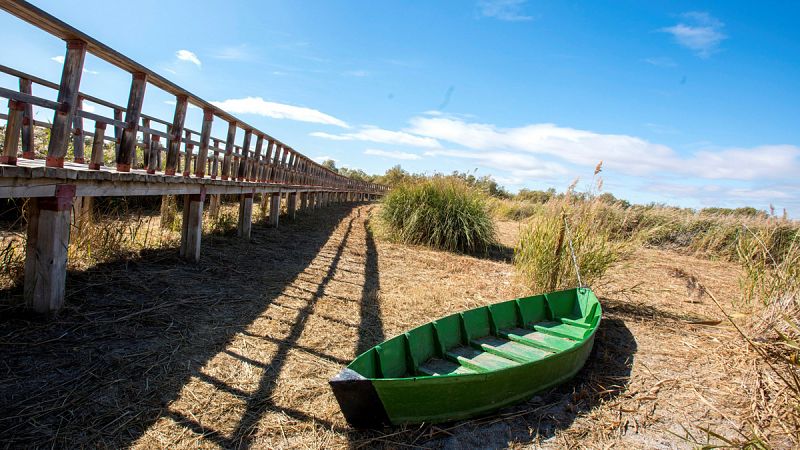 2019 cerrará la década más calurosa desde que se tienen registros