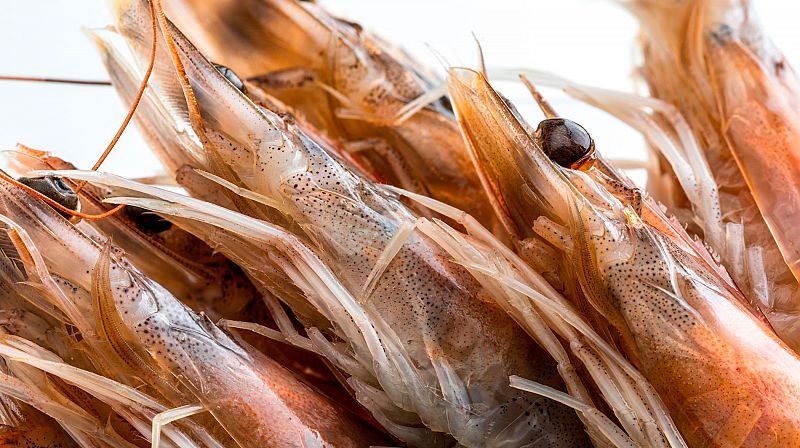 La Agencia de Seguridad Alimentaria desaconseja chupar las cabezas de gambas y otros crustáceos