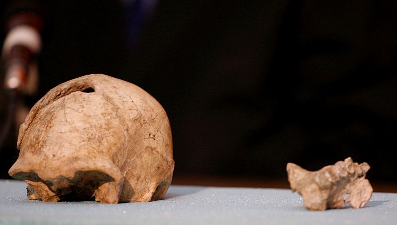 El último 'homo erectus' vivió en la isla de Java hace 108.000 años