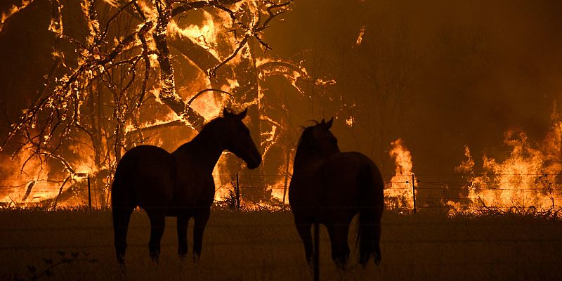 El primer ministro de Australia admite la relación entre los incendios y el cambio climático