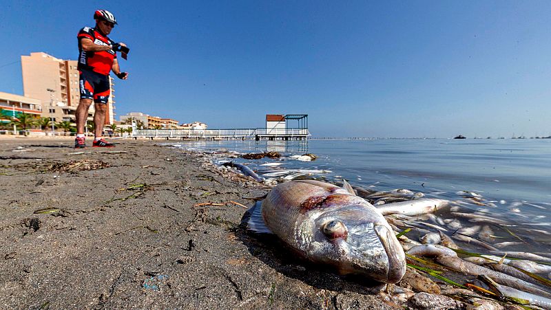 Murcia suspende las nuevas construcciones y limita los cultivos para proteger el Mar Menor