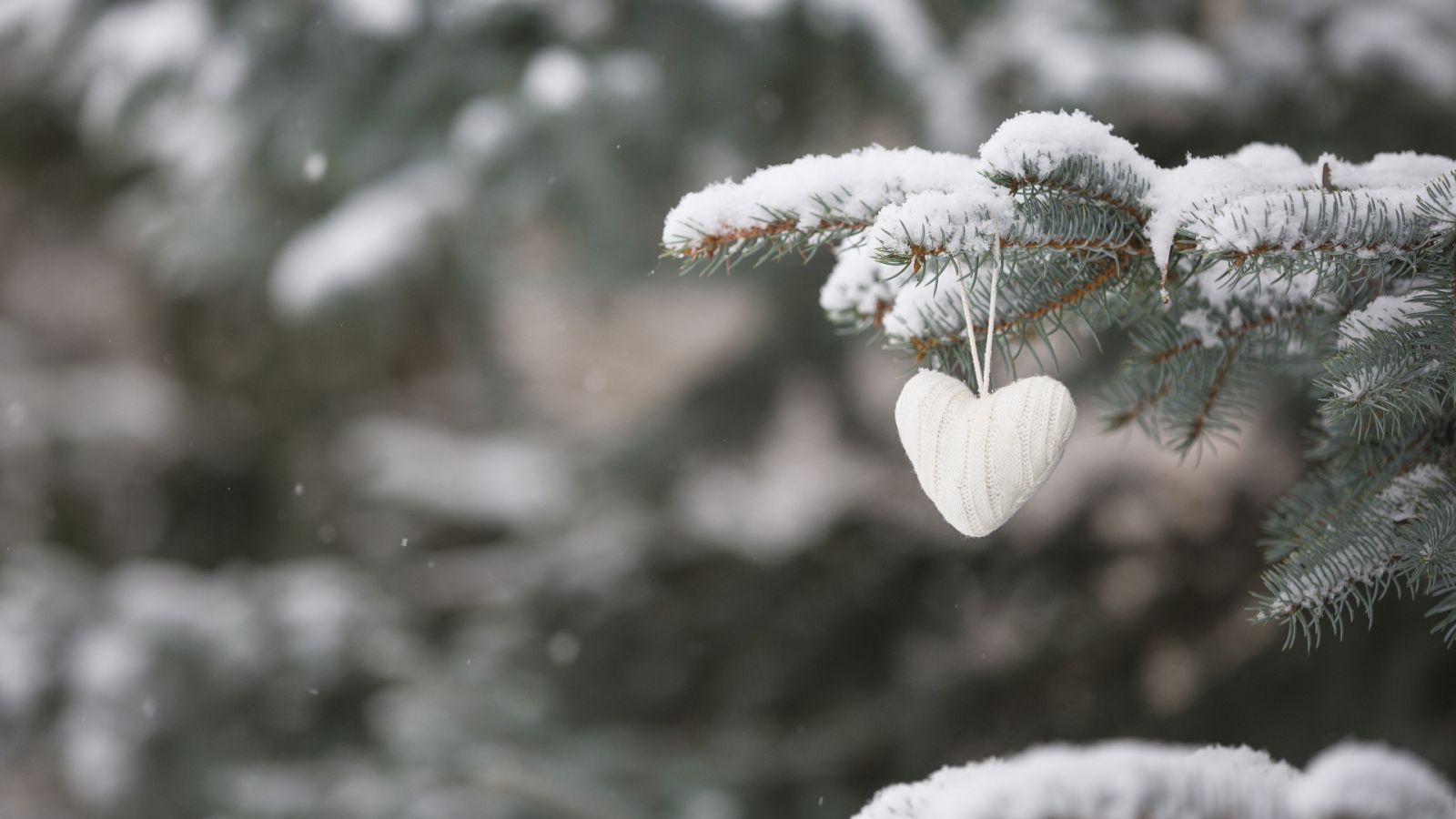 España Directo - Monterrubio, el pueblo segoviano con más corazón