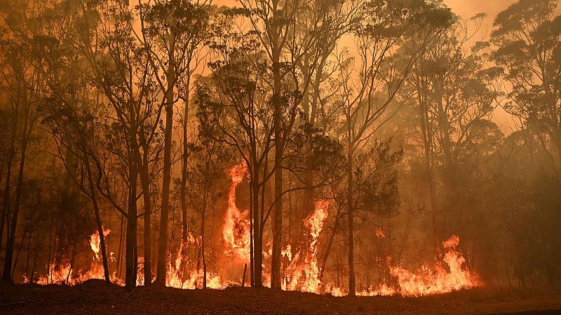 Australia despliega a 3.000 reservistas para combatir los desvastadores incendios que dejan ya 23 muertos