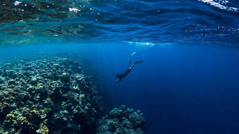 Durante 2019 la temperatura de los océanos fue la más cálida desde que hay registros