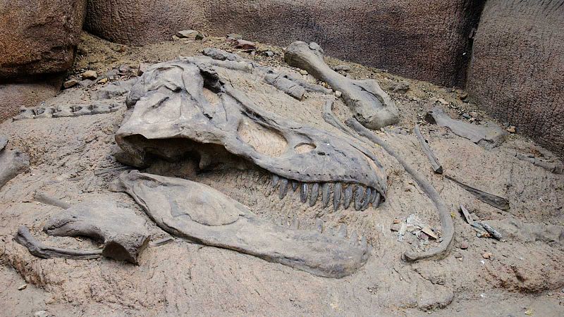 Un estudio demuestra que el impacto de un asteroide mató a los dinosaurios y no la acción de los volcanes