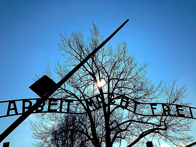 'La noche temática' conmemora el 75 aniversario de la liberación de Auschwitz