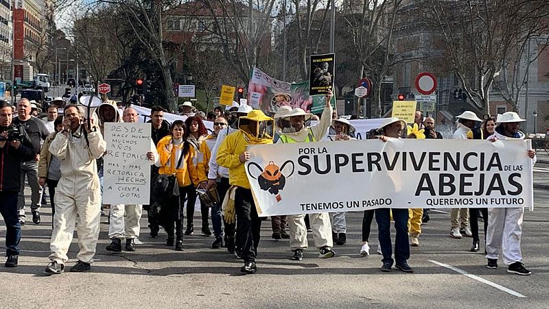 Los apicultores se manifiestan para pedir ayudas y más investigación contra las plagas
