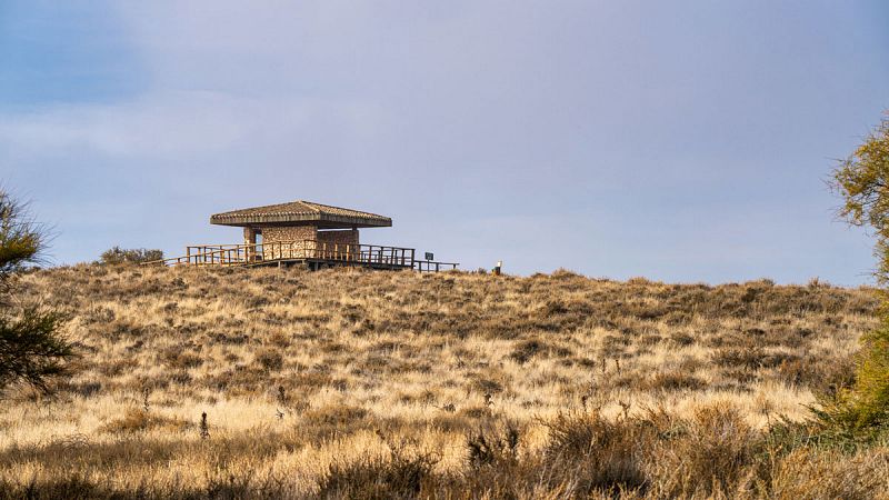 Pozos ilegales y cambio climático, las grandes amenazas de los humedales en España