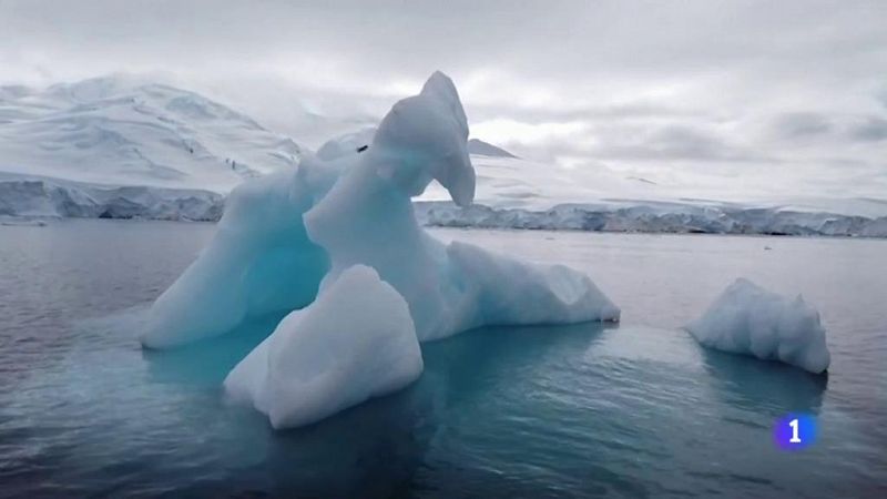 La Antártida registra su temperatura más alta de la historia: 18,3 grados en febrero