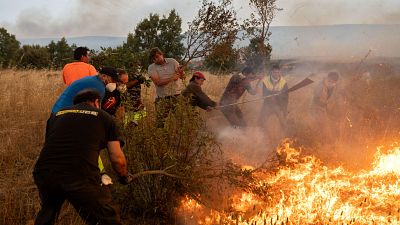 Hasta 20 años de cárcel si hay vidas humanas en peligro: el castigo por provocar un incendio forestal