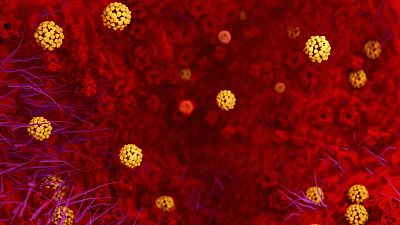 El coronavirus frena en seco el turismo europeo a China