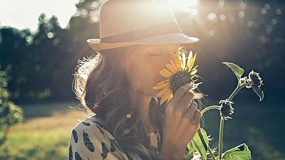 Memoria de delfín - Anosmia: vivir sin olfato - 22/02/20 - escuchar ahora