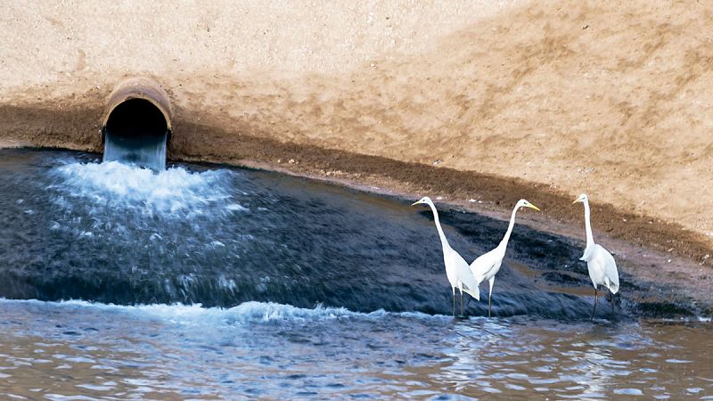 España, segundo país con más infracciones ambientales abiertas de la Unión Europea