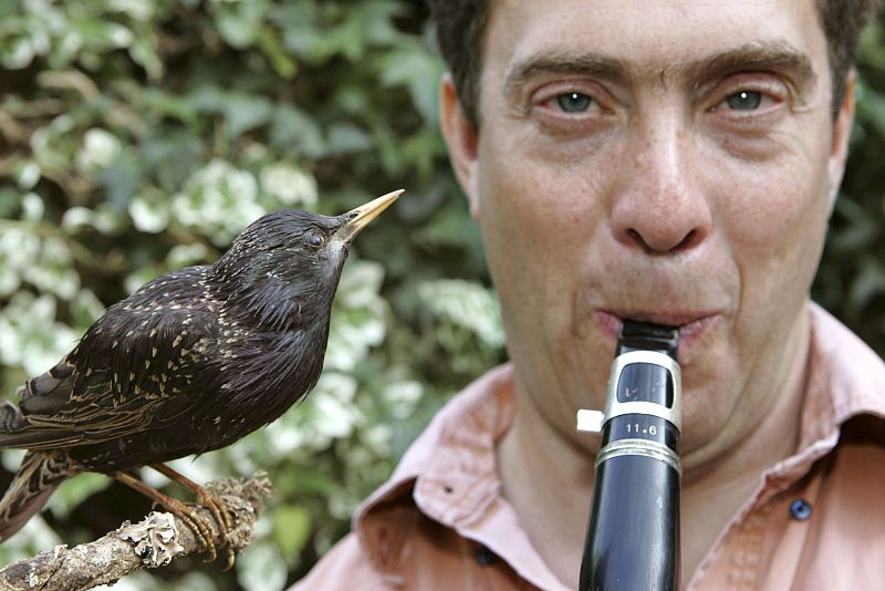 Los pájaros cantan por placer
