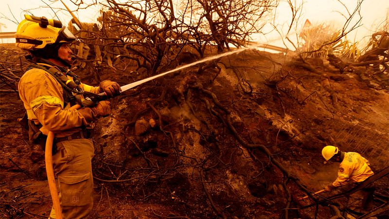 Varios incendios provocan el desalojo de mil personas en el norte de Tenerife