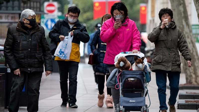 Hong Kong investiga un caso sospechoso de coronavirus en un perro