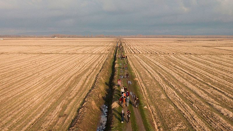 Miles de refugiados, sin posibilidad de pedir asilo, tratan de cruzar la frontera de Turquía a Grecia
