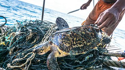 Planeta vivo - Pescadores de Badalona - 04/03/20 - Escuchar ahora