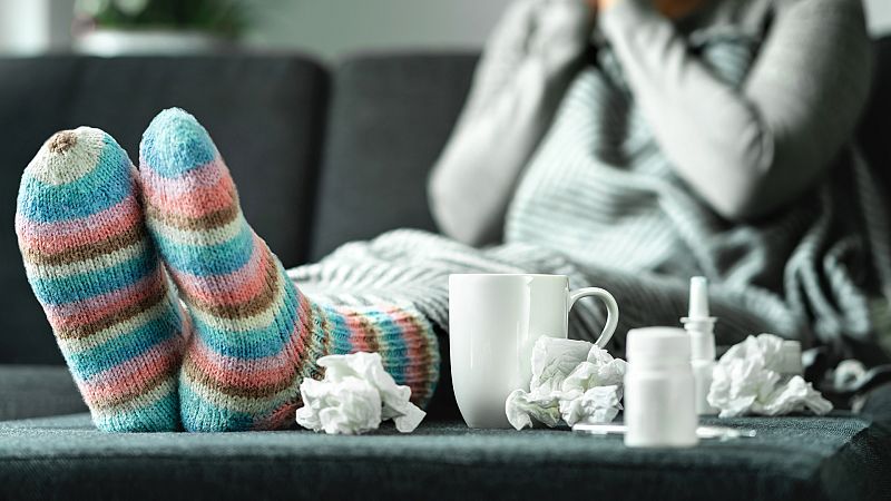 Investigadores resuelven el funcionamiento de la maquinaria de transcripción del virus de la gripe