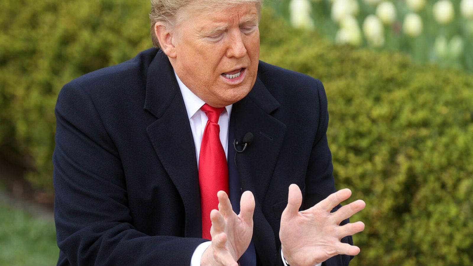 Trump pretende "reabrir" Estados Unidos el próximo 12 de abril - RTVE.es - Telediario 1 | Ver