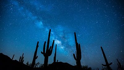 Espacio en blanco - ¿Ya han llegado? - 12/04/20 - escuchar ahora