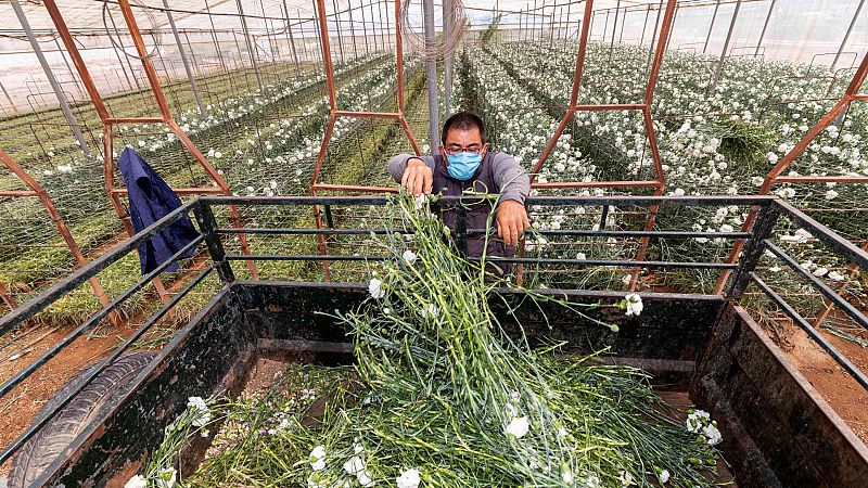 Whatsapp, cuarentena y pequeños productores, ¿la solución para la distribución o un problema por exceso de difusión?