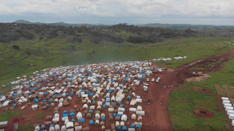 Manual básico de supervivencia del migrante en el Darién (en