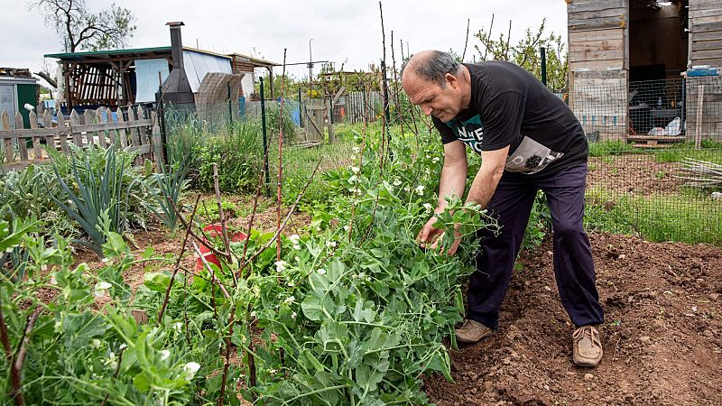 El Gobierno permite el desplazamiento a los huertos para el autoconsumo