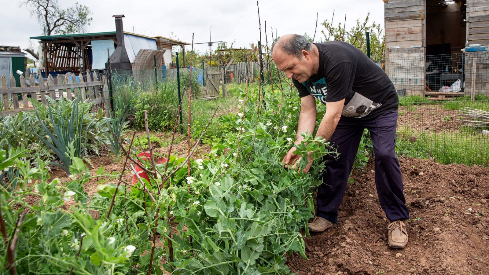 El Gobierno permitirá los desplazamientos a los huertos para el consumo propio