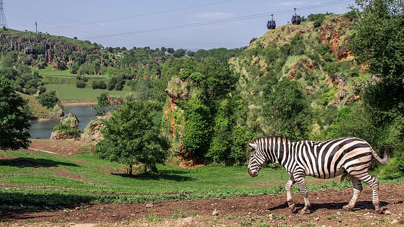 El parque de Cabárceno vuelve a la vida