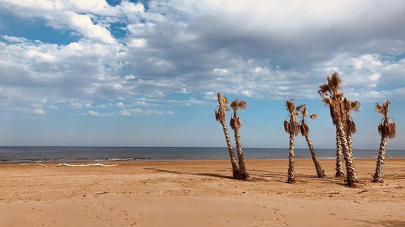 La posible vuelta a las playas en la Comunidad Valenciana: por turnos y con cita previa a través del móvil