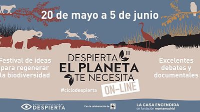 'Despierta, el planeta te necesita 2020', Casa Encendida