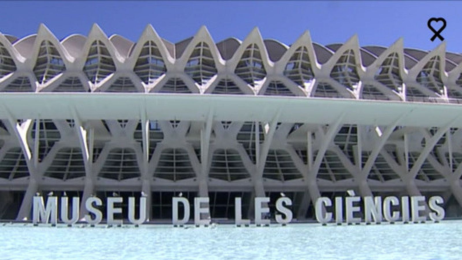 Seis establecimientos obtienen el certificado "turismo seguro" por el Covid-19 | Ver