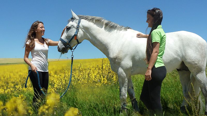 La terapia con animales, un estímulo para los adolescentes afectados psicológicamente por la pandemia